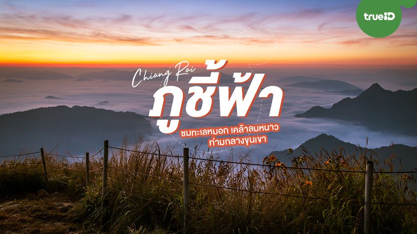 ภูชี้ฟ้า จุดชมวิวทะเลหมอกในฝัน จังหวัดเชียงราย